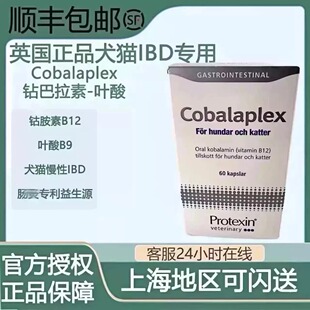 英国正品Cobalaplex钴胺素叶酸幼猫咪狗维生素益生菌IBD肠胃B12