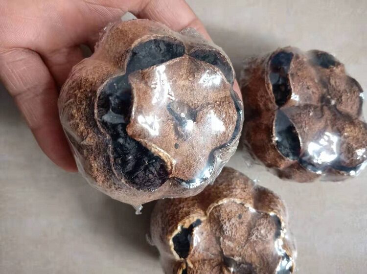 农家芦柑 纯手工陈年铁观音芦柑蜂蜜茶 陈年老茶熟茶 500克包邮