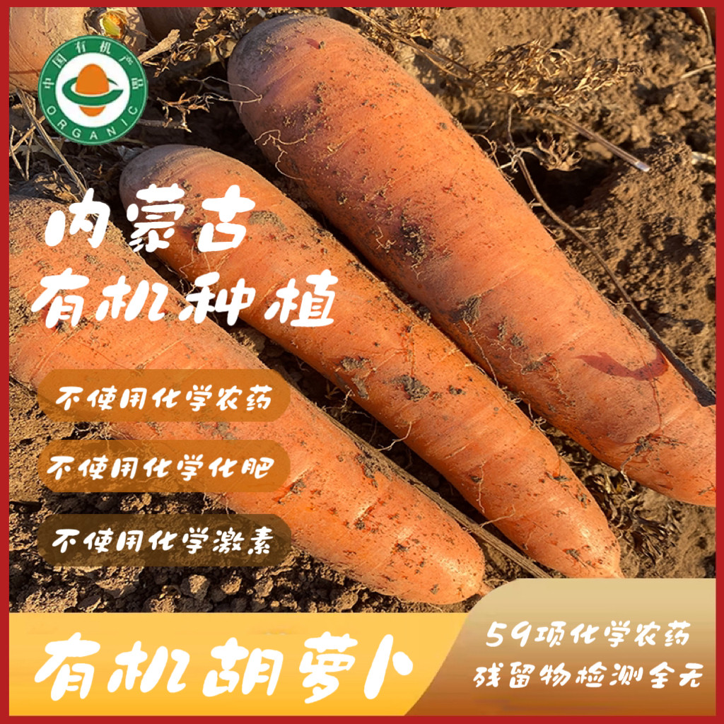 内蒙古有机胡萝卜非转基因粉糯沙绵有机蔬菜宝宝辅食,水产肉类/新鲜蔬果/熟食,萝卜/胡萝卜,淘宝优惠券,粉丝福利购,淘宝优惠卷