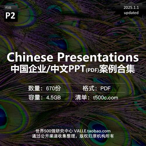 中国或中文企业PPT案例集