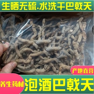 巴戟天中药材干货凤眼根泡酒巴戟鸡肠风郁南特产晒干无硫500g包邮