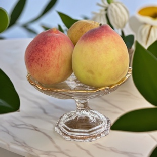 创意前台会所精致酒店玻璃水果盘ktv糖果盘家用高脚盘美容院专用