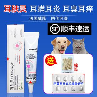 威隆耳肤灵狗狗猫咪宠物除耳螨药猫狗用中耳炎复方制霉菌素软膏