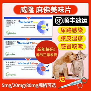 麻佛美味片脓皮症猫马波沙星片皮肤病宠物消炎药狗狗麻佛微素