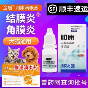 金盾润康滴眼液硫酸新霉素滴眼液宠物猫咪眼睛发炎流泪眼药水