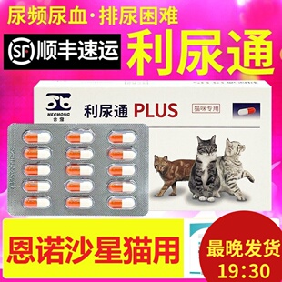 利尿通猫plus猫咪尿闭药泌尿通猫咪泌尿系统药尿血恩诺沙星片猫用