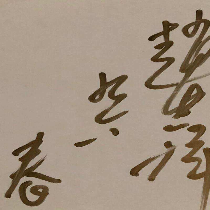 岁月随想 赵忠祥亲笔签名岁月随想