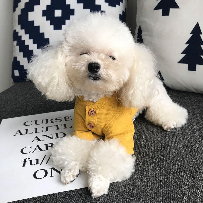 春秋薄款打底衫配外衣背带裤双个扣纯棉衣服狗衣服 猫衣服 泰迪