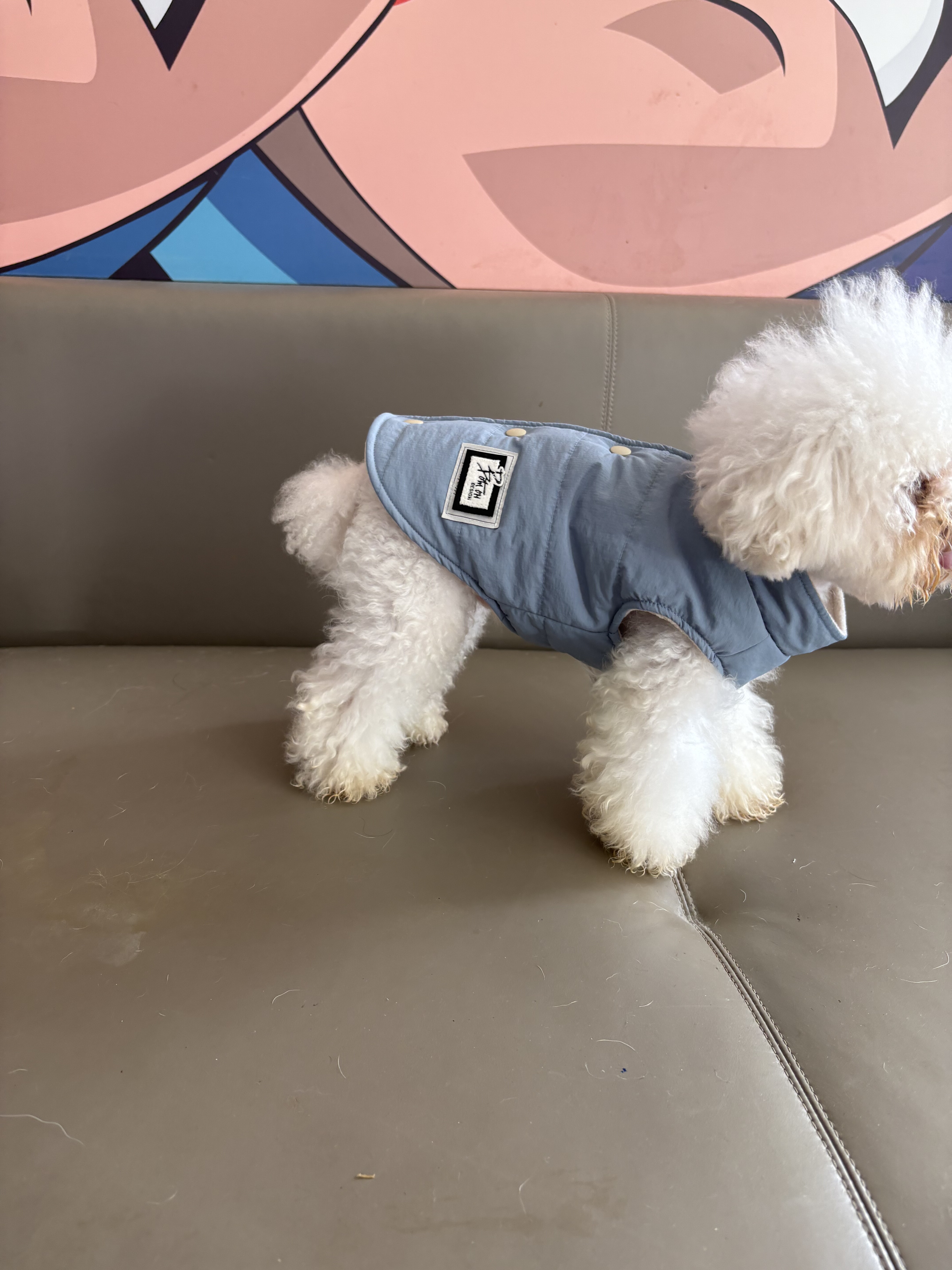 2025年新款EBAERR宠物狗狗马甲宠物棉衣泰迪比熊小型犬马甲冬装