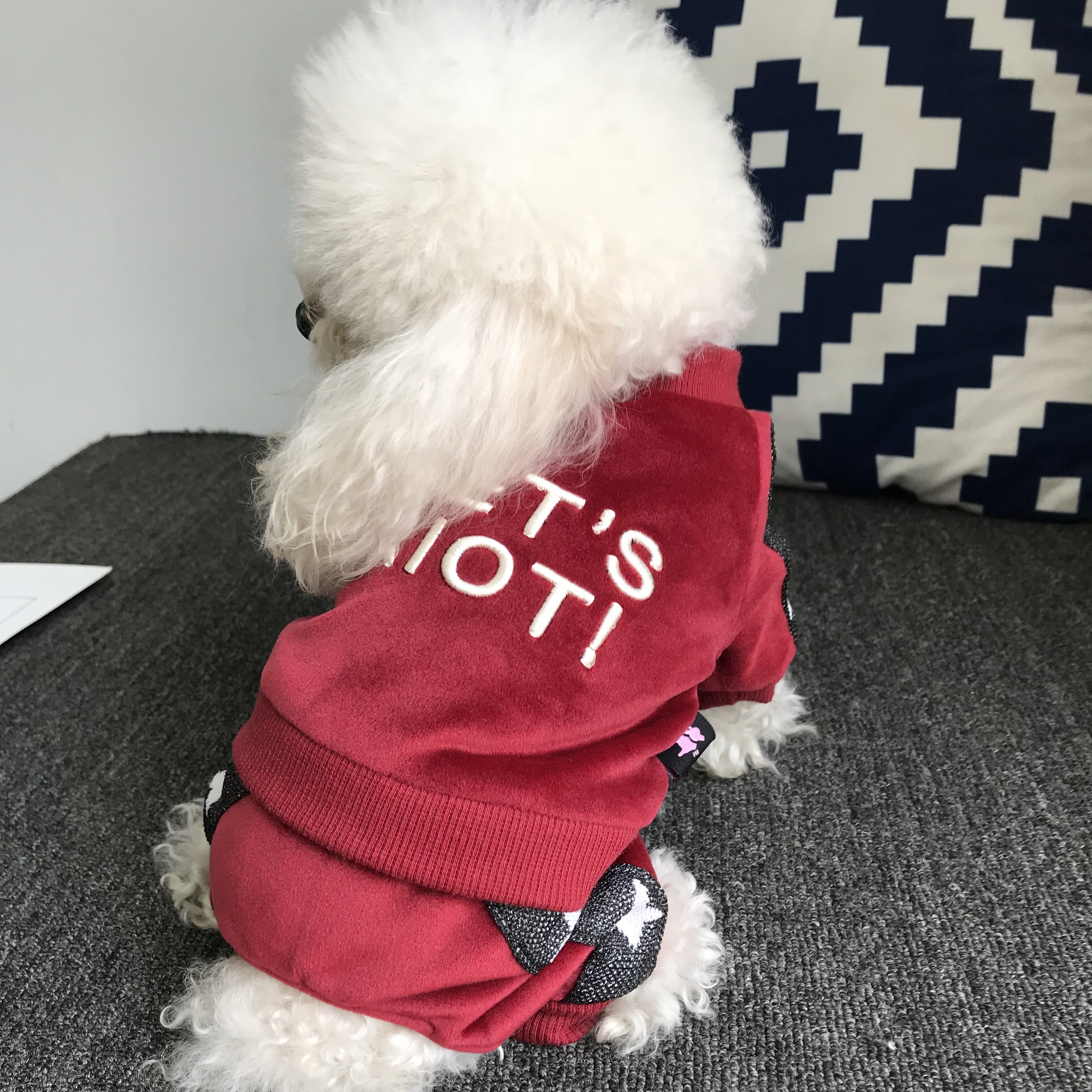 狗衣服银狐绒高档宠物衣服四脚放冬装两层厚款泰迪衣服比熊衣服