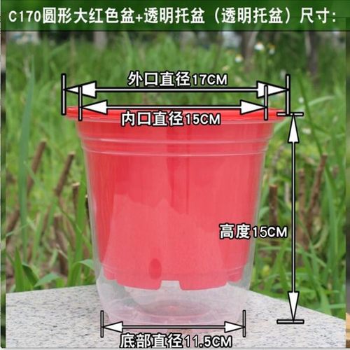 绿萝花盆自动吸水接水透明加厚
