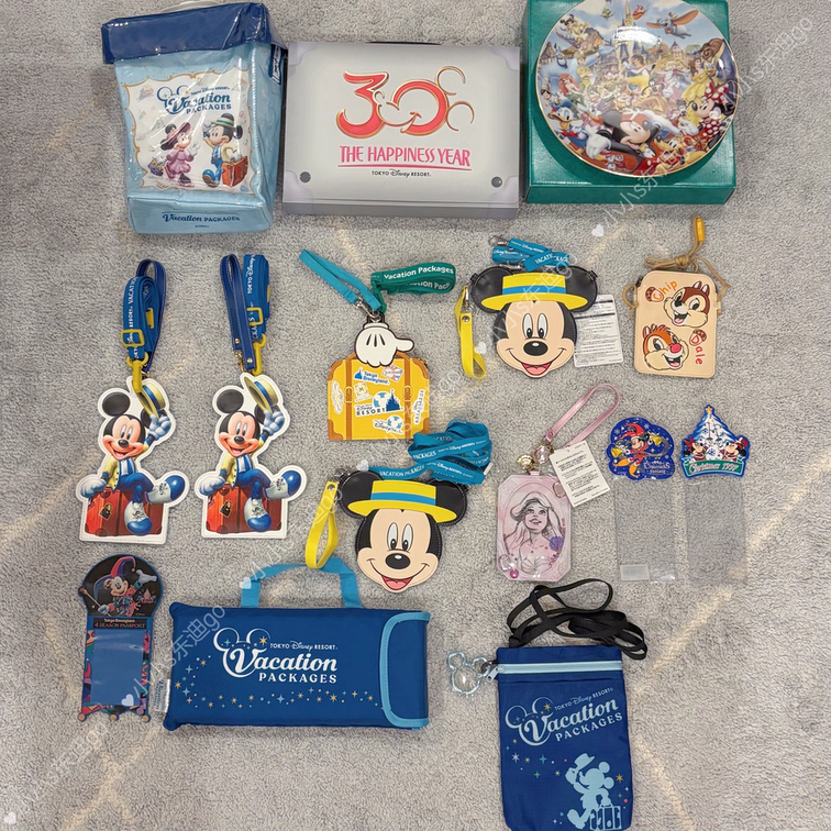 东京迪士尼中古VP会员周边
