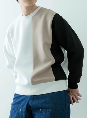 日单秋冬新款时尚个性圆领撞色拼接罗纹长袖卫衣男女31301