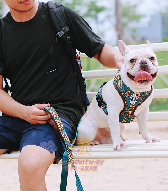 hidream|3色古堡系列背心式项圈