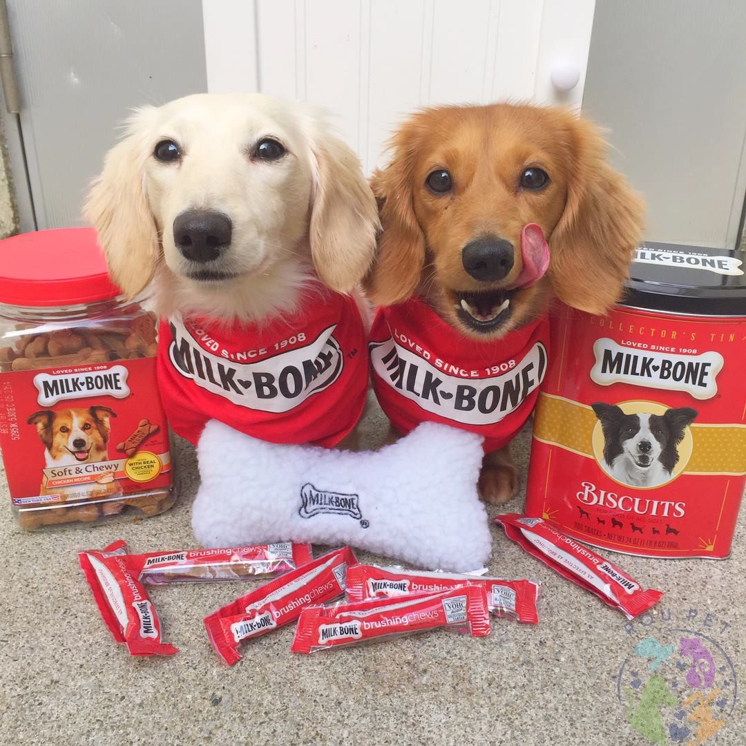 港购 美国MilkBone宠物饼干骨髓夹心夹心酥饼干训练零食,宠物/宠物食品及用品,狗饼干,淘宝优惠券,粉丝福利购,淘宝优惠卷