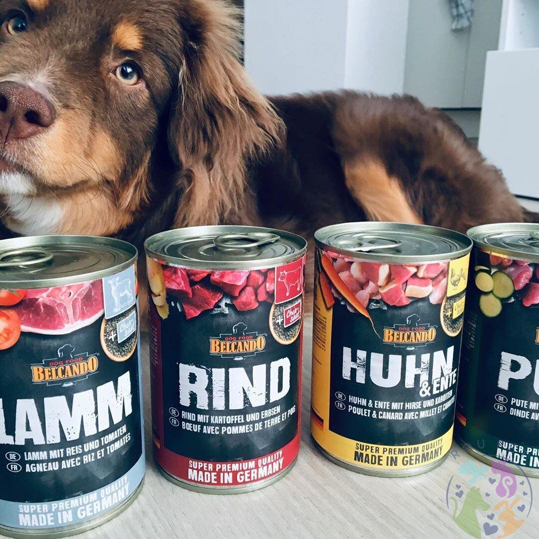 港购 德国Belcando 狗罐头主食量湿粮火鸡鸡肉羊肉鸭肉黑猪肉400g