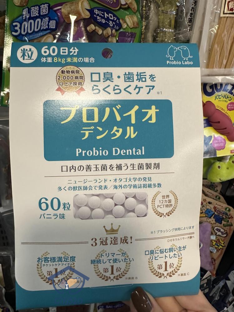 牙垢口臭出血口腔ProbioDental