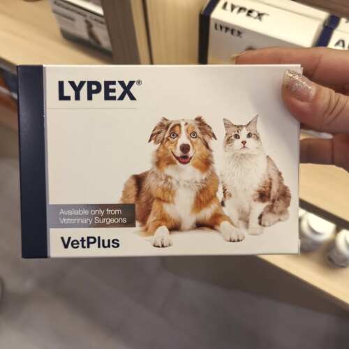 港购 英国Vetplus Lypex 貓狗多酶素膠囊 60粒裝
