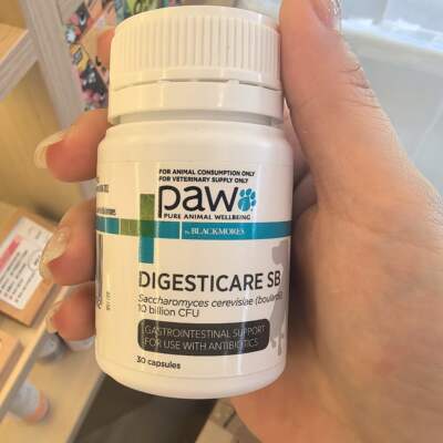 港购 美国 Paw By BLACKMORES Digesticare 犬用消化護理丸30粒