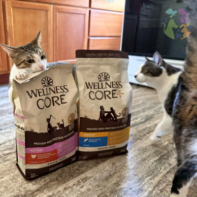 港购美国wellness core宠物猫主食粮猫幼猫孕猫无谷物高蛋白5磅