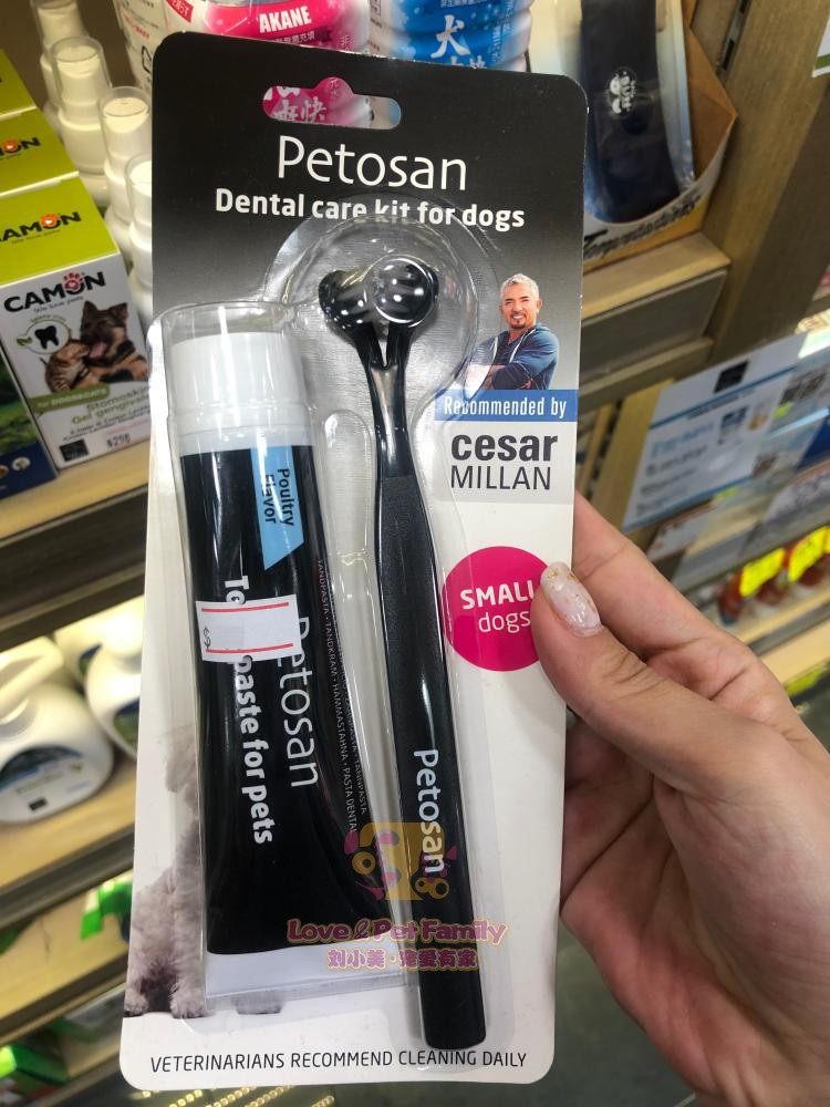 挪威petosan齿立怡双头狗牙刷牙膏套装除牙石牙菌斑小型犬,宠物/宠物食品及用品,猫狗牙膏/牙具,淘宝优惠券,粉丝福利购,淘宝优惠卷
