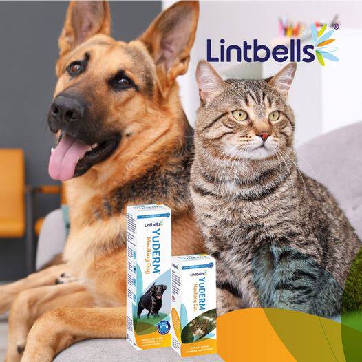 港购 英国Lintbells犬猫天然爆毛粉抗痒精华油美毛液美肌油yuderm