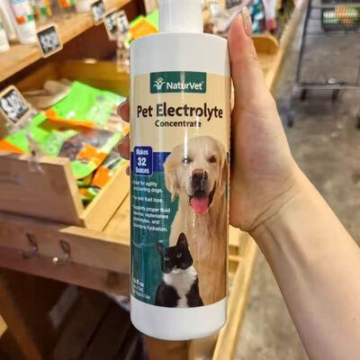 港购 美国天然宝NaturVet貓電解質濃縮液