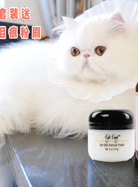 美国envy天使眼波斯套装加菲猫