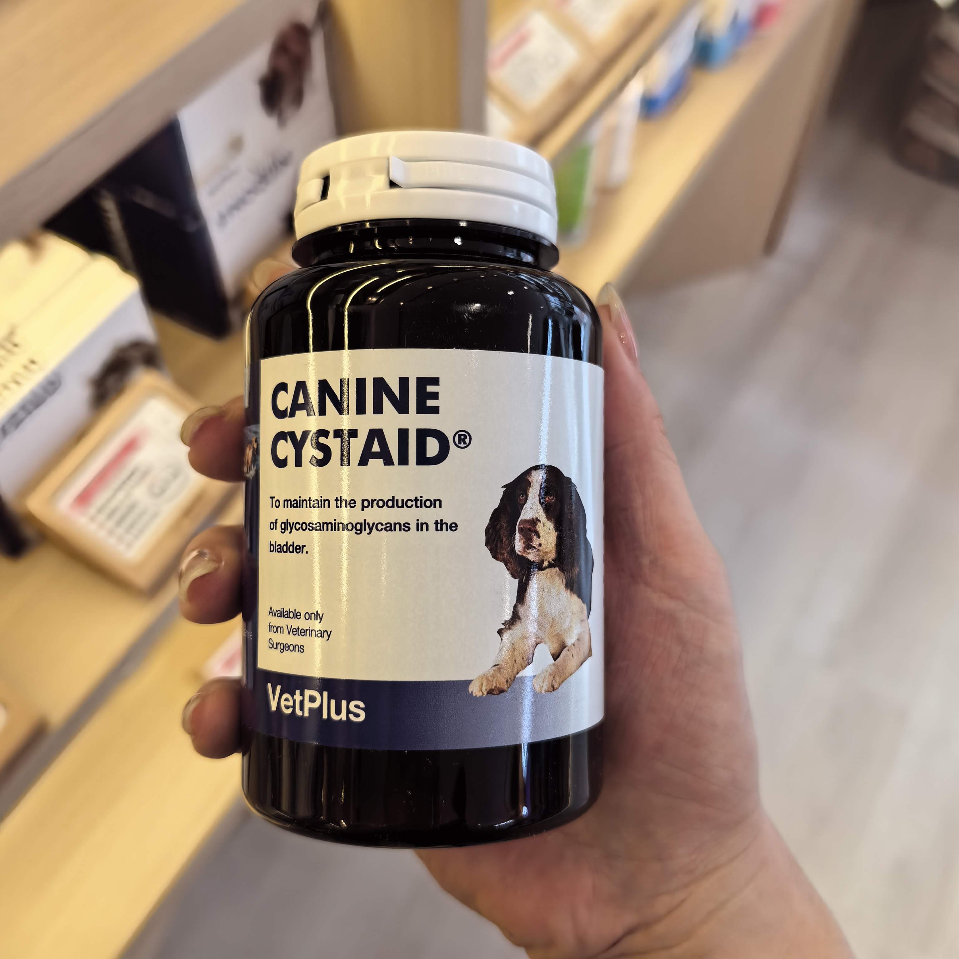 港购 英国宠特宝VETPLUS狗利尿通犬用尿路感染膀胱炎结石尿血尿闭