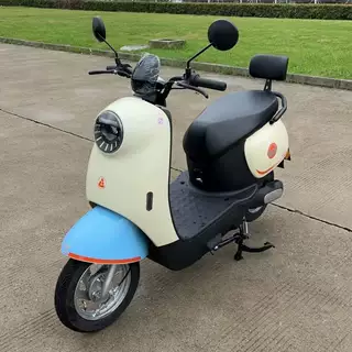 绿驹美好巨龙锡劲五星钻豹新隆环城小金龟电动车外壳配件米奇龟车