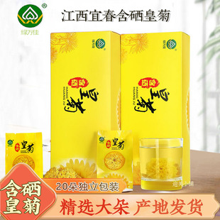 江西宜春含硒皇菊绿万佳花草茶20朵独立小包装礼盒一朵一杯大菊花