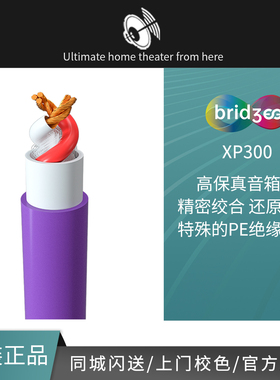 bridgee桥界 XP300 家用版 高保真精密绞合 PE绝缘介质高清音箱线