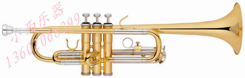 C调小号   Trumpet