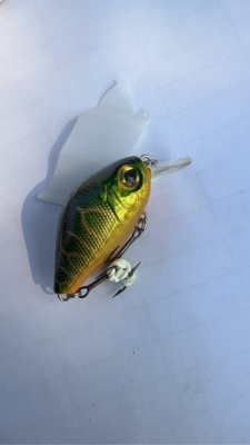 拓钓Xun雷系列CRANK小胖浮水1米2.5米泳层路亚假饵鲈鱼翘嘴仿生饵