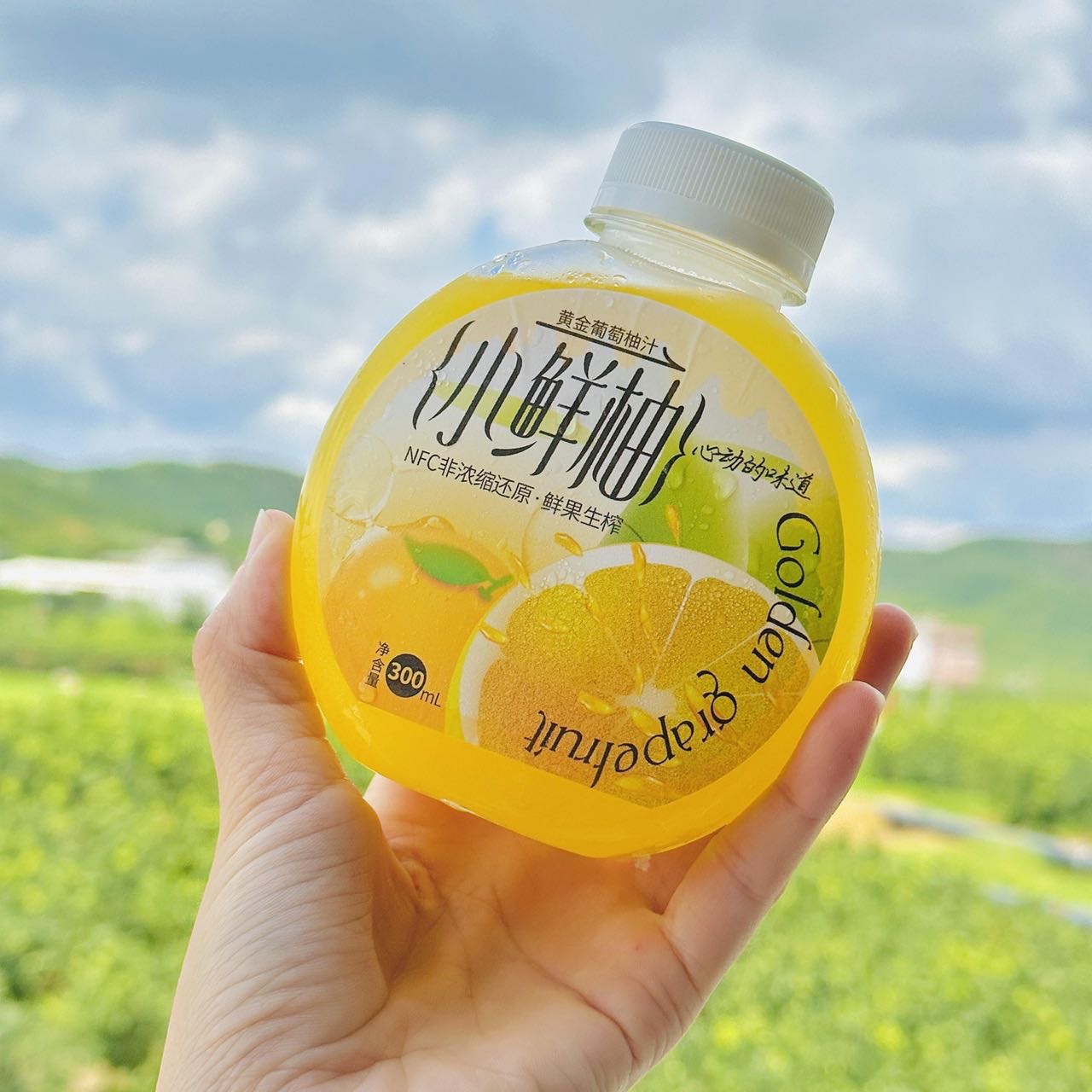 6瓶小鲜柚黄金葡萄柚汁300ml 鲜榨水果汁夏日维C特饮风味网红