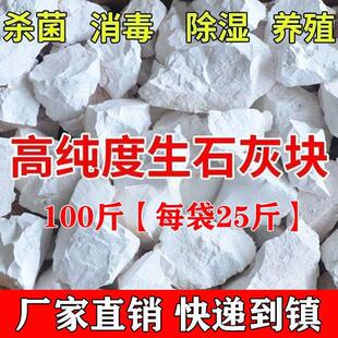 100斤正宗生石灰块状鱼塘消毒杀菌刷树氧化钙畜养殖场牧净化水