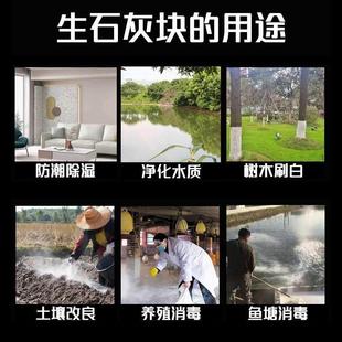 100斤正宗生石灰块状鱼塘消毒杀菌刷树氧化钙畜养殖场牧净化水