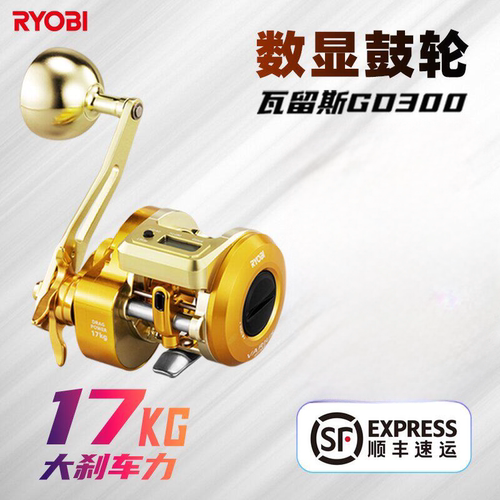 利优比瓦留斯GD300数显轮