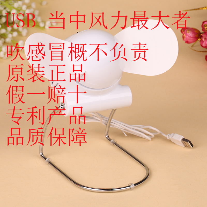 Ventilateur USB - Ref 400930 Image 1