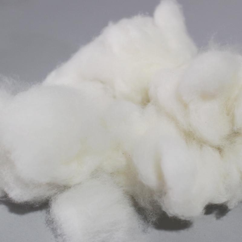 正品正宗新疆棉花散装一级优质长绒棉枕头抱枕玩偶枕芯靠枕填充物