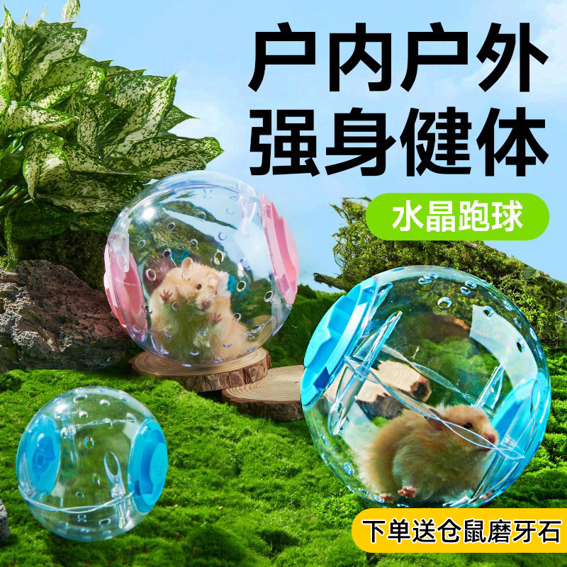 仓鼠球跑跑球玩具解闷溜仓鼠专用
