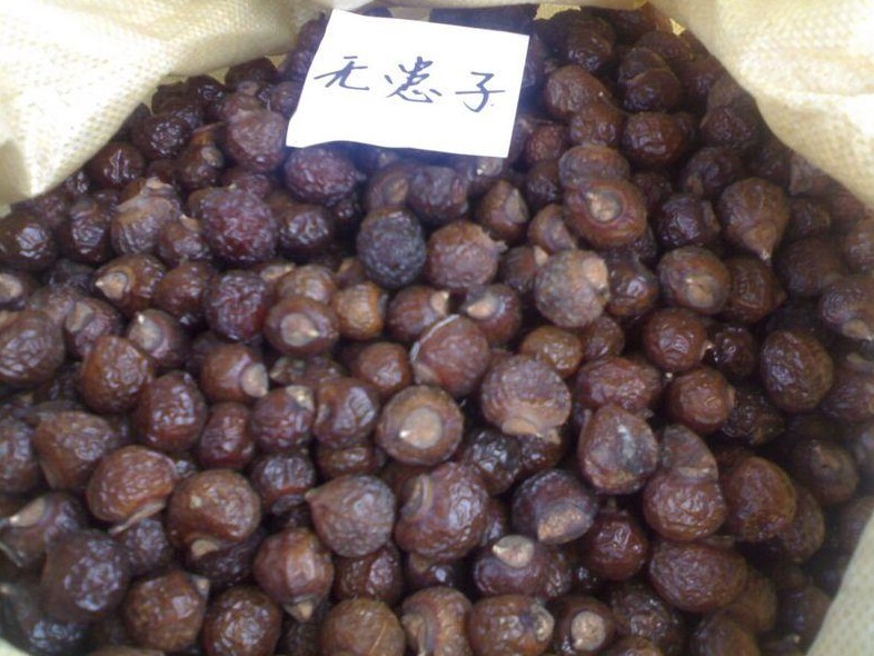 中药材无患子500g 黄金树 洗手果 苦患树木患子油患子肥珠
