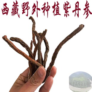 259克包邮 西藏直发 西藏林芝野生种植丹参 藏丹参 丹参滴丸原料