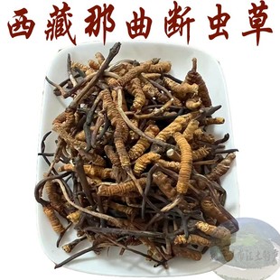 西藏直发5克包邮 西藏那曲虫草 冬虫夏草 断草 自用很好 干虫草