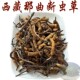 包邮 自用很好 西藏那曲虫草 断草 干虫草 冬虫夏草 西藏直发5克
