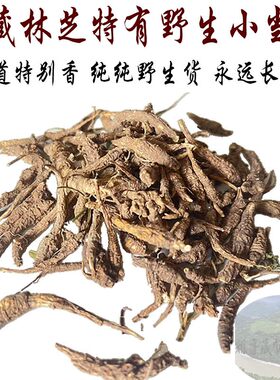 100克包邮 西藏野生小当归 藏当归 每条2-4克小当归头 西藏小当归