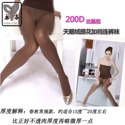 永春女士性感抗起球比基尼连裤袜