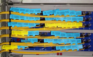 通信机房标签Q-03T蓝色线缆标签250张/卷网线标签网络工程标签