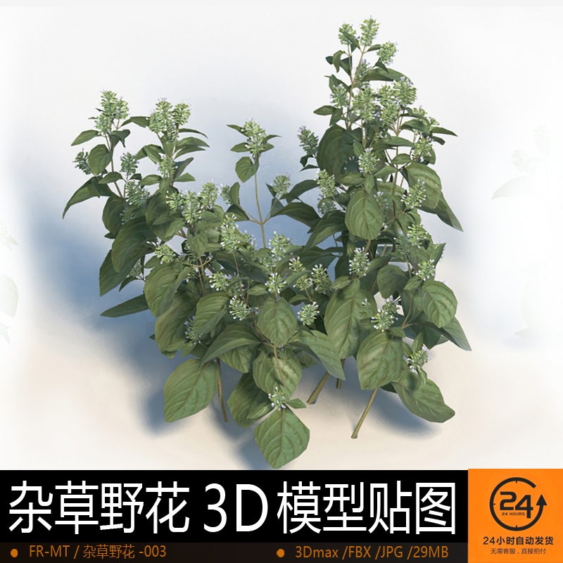 杂草野花-003模型3DMAX环境效果图影视游戏次世代场景地形建模