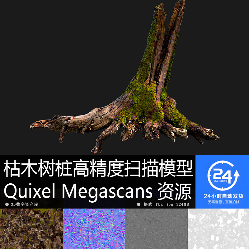 枯木树桩高精度扫描资源高清模型贴图材质PBR4K